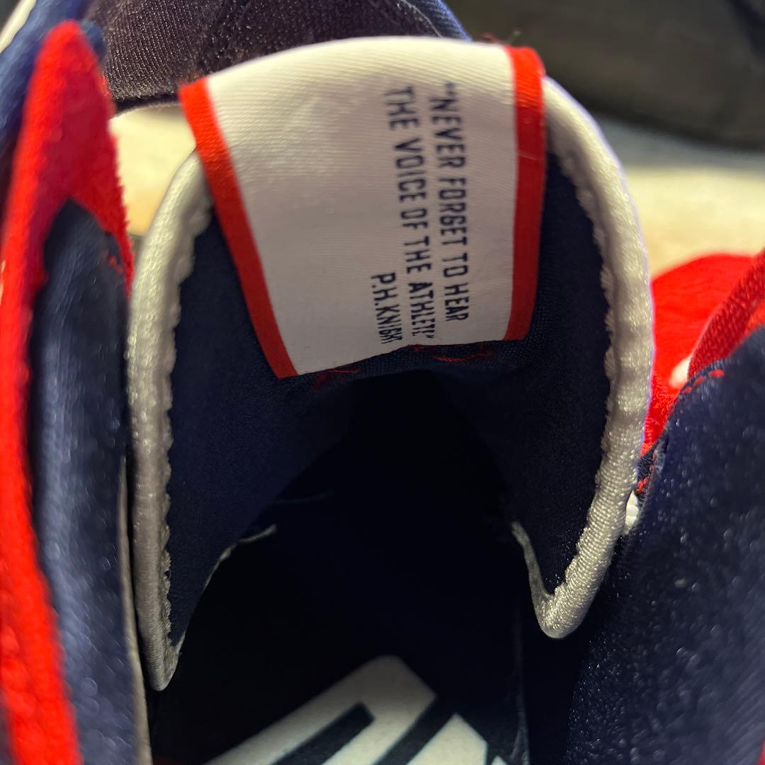 NIKE LeBron XVII バスケットボールシューズ 27cm 赤