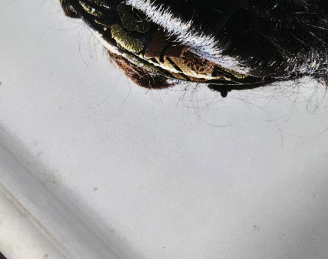 k*3様 中森明菜　明星　1984年　着物　等身大ほどの大きさ　タペストリー　ポ