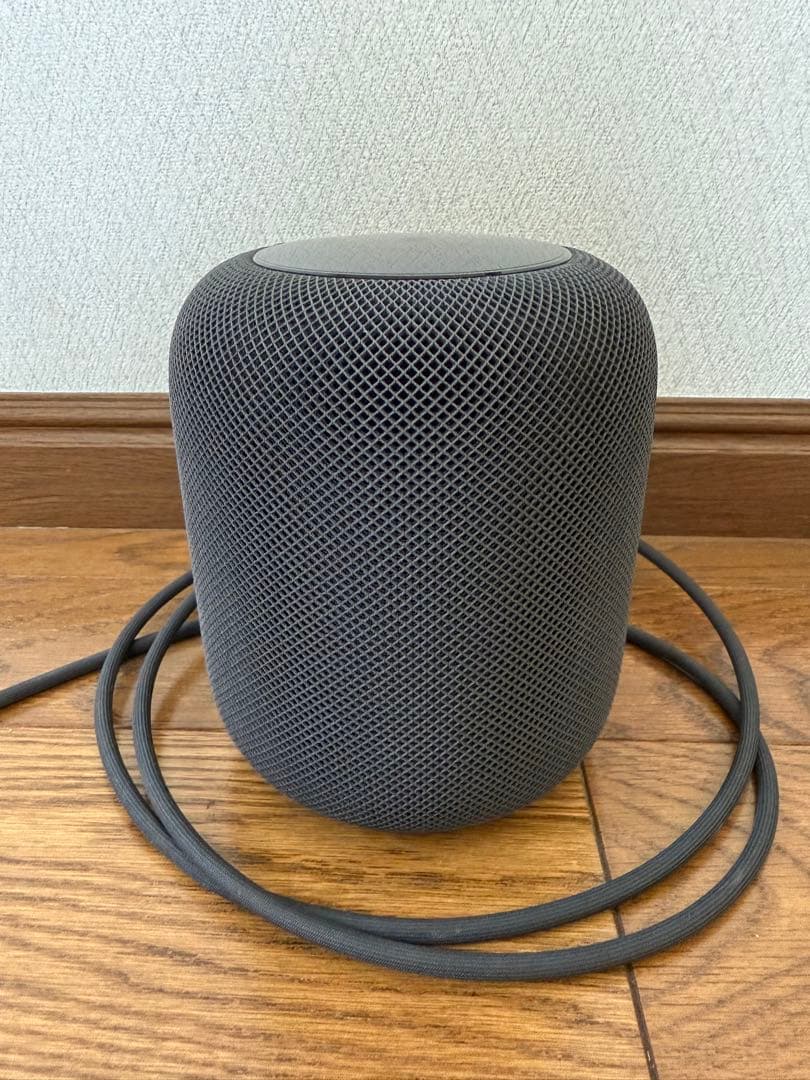 Apple Pod　第一世代（初代）　スペースグレー