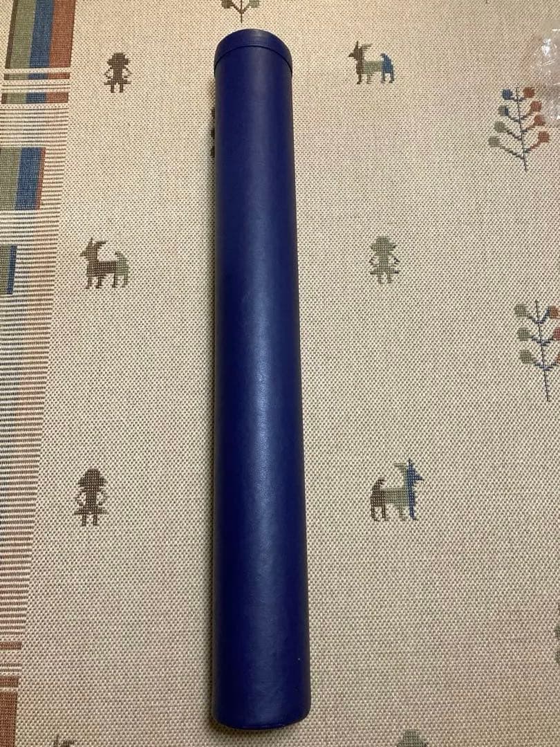 LPN社　StretchPole MX 青 円筒形　女性・高齢者向け