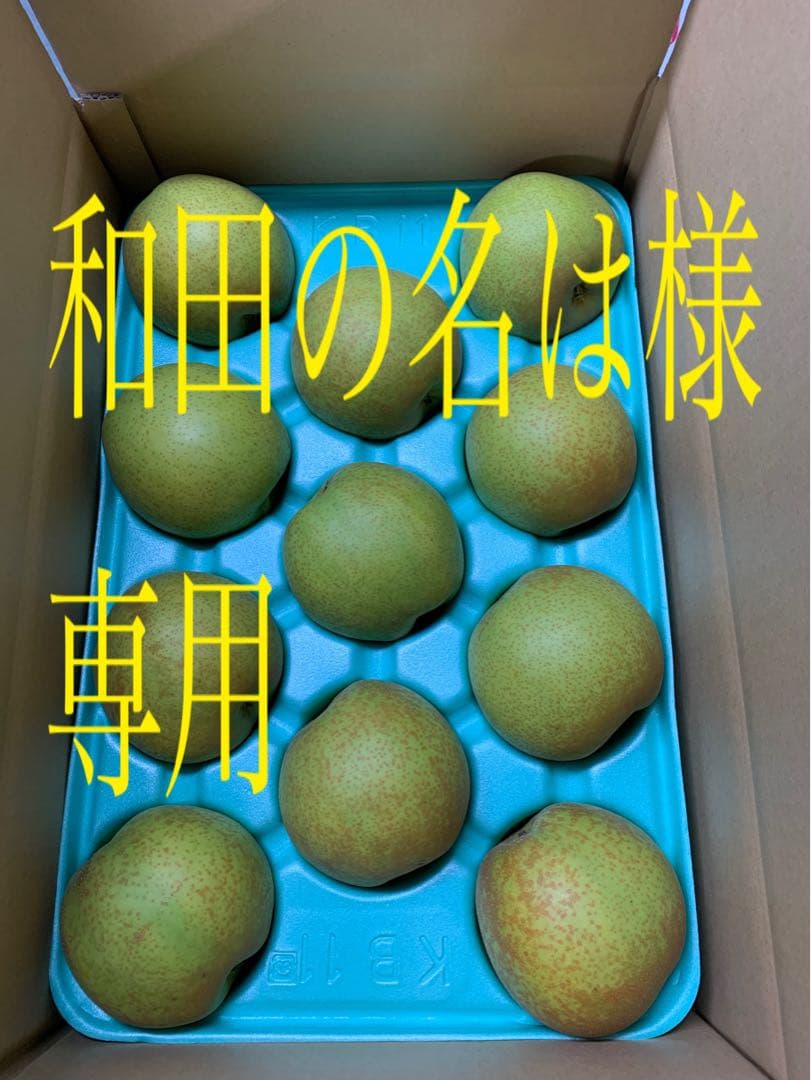 和田の名は　甘太　家庭用　10キロ　梨