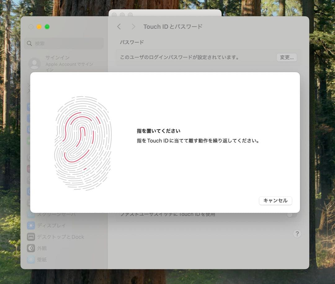 MacBook本体 Apple MacBook Pro 13 2019 i5/16GB/250GB