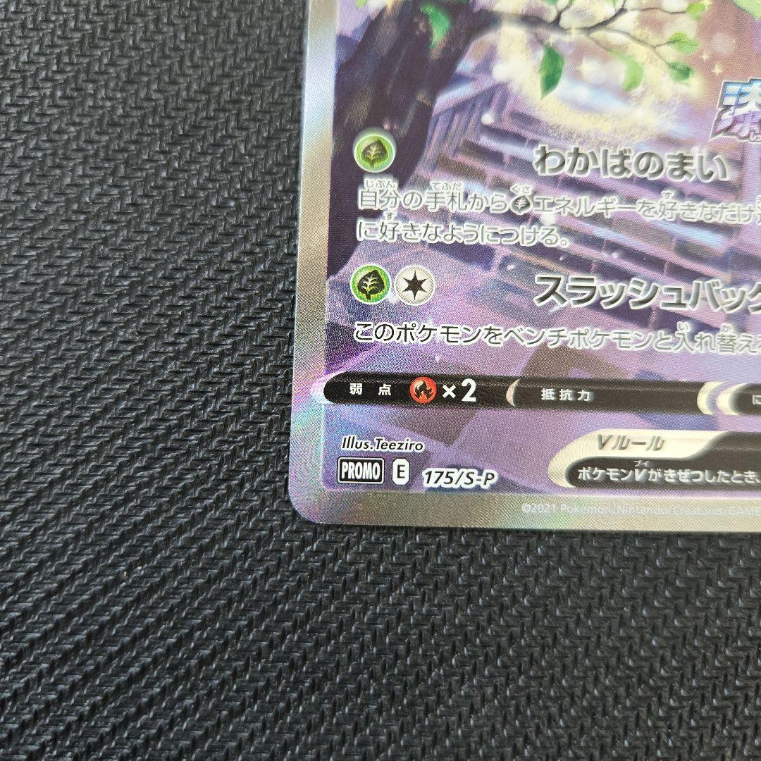 セレビィV　SA PROMO 175/S-P　プロモ