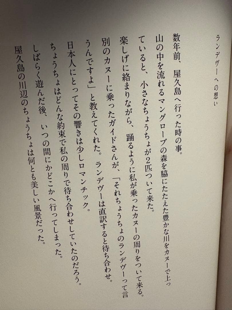 イイノナホ　ペーパーウェイト　ランデヴー