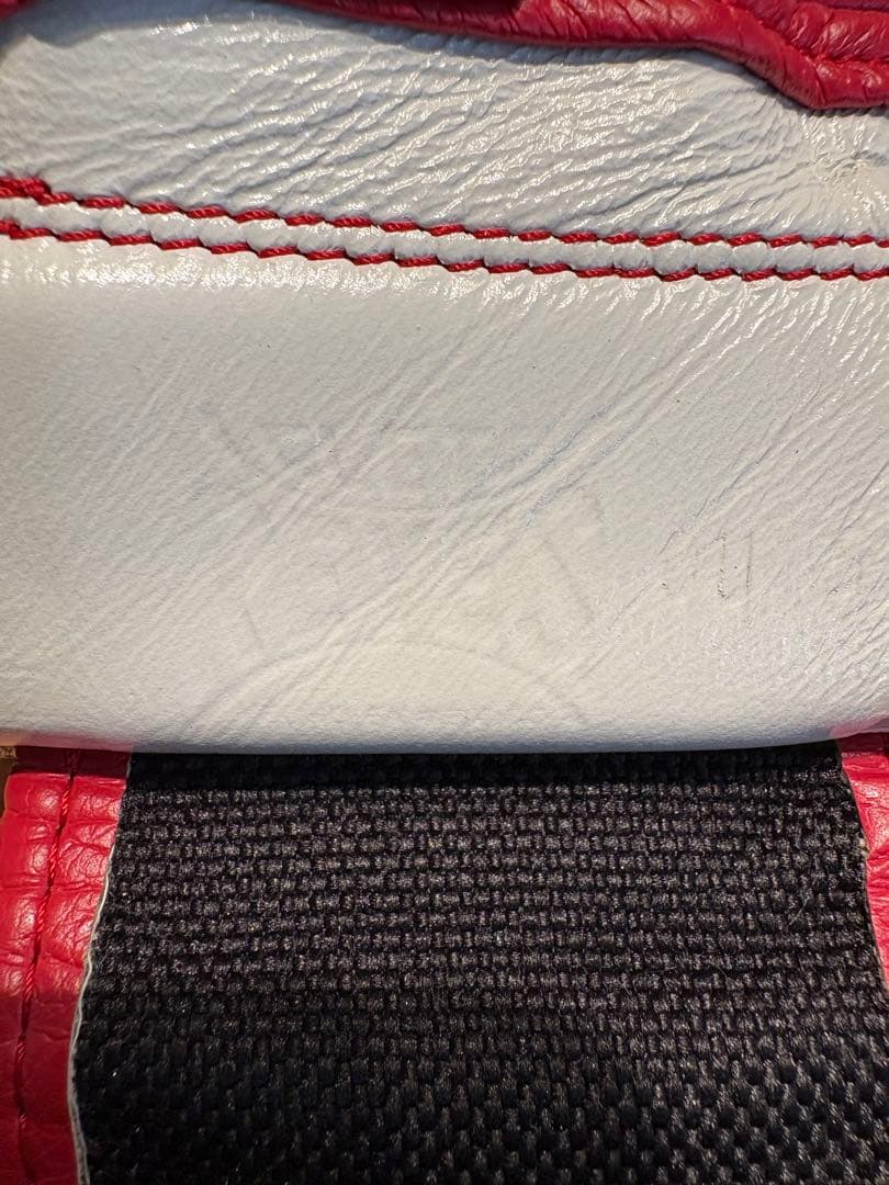 CLETO REYES レイジェス ボクシング グローブ　10オンス 美品✨