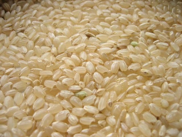 関東　一都六県　送料無料　令和６年　冷蔵保存　新米　玄米　つきあかり　20kg