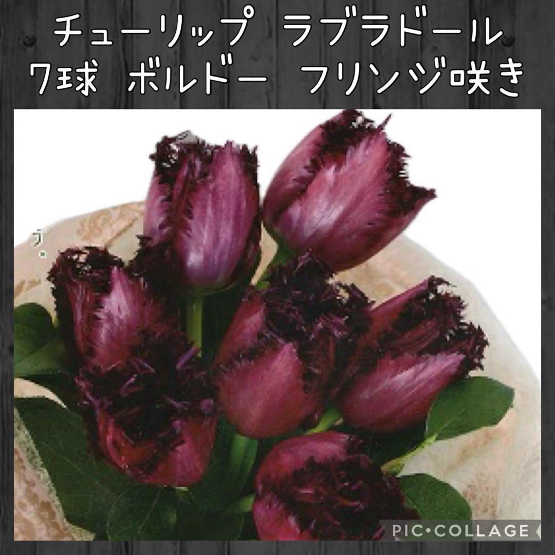 awe様 リクエスト 10点 まとめ商品