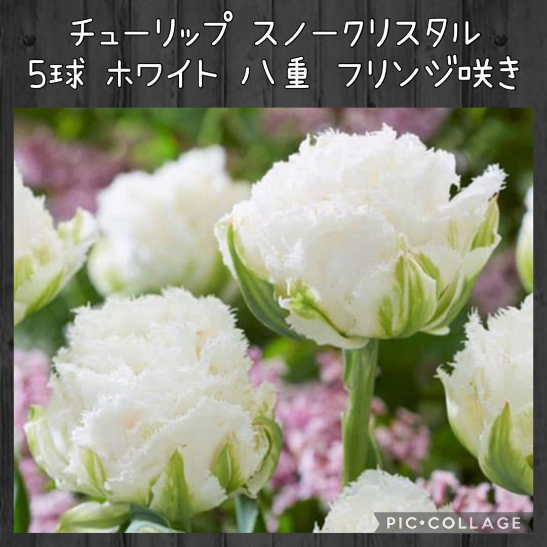 awe様 リクエスト 10点 まとめ商品