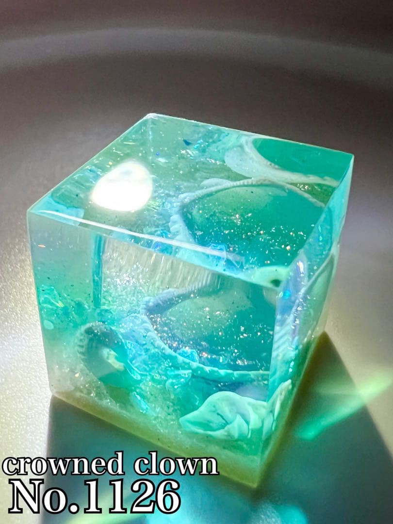 No.1126 ジオラマレジン【negu】