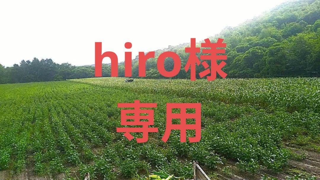 農家直送【新豆】令和7年産 北海道壮瞥町産大豆15㎏