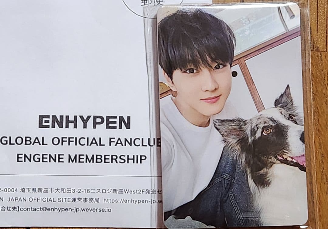 ENHYPEN FC アンケート トレカ コンプリートセット 2025