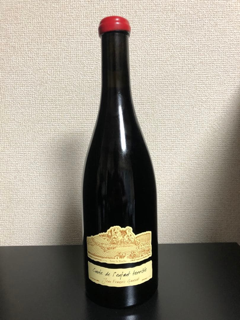 ジャン・フランソワ・ガヌヴァ プールサール ランファン・テリーブル2015