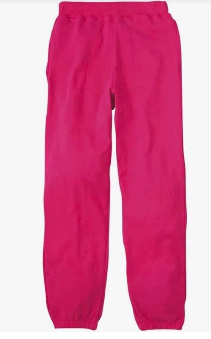 【お値下げ中】ミニパル　コスチューム　パルパルーザ　120.110cm程度