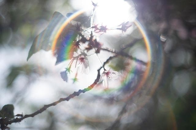 【オールドレンズ】smc takumar 55mm f1.8