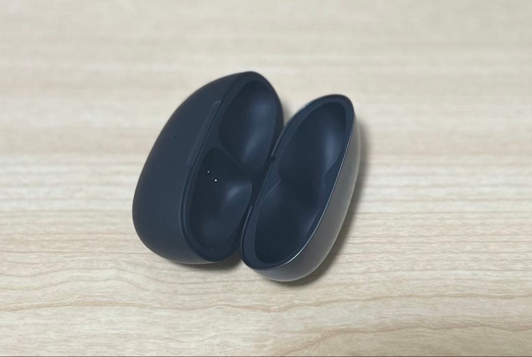 Shokz (ショックス) OpenDots ONE