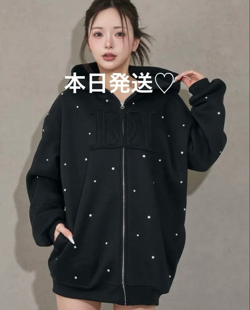 DDロゴビジュージップパーカー ダーリッチ