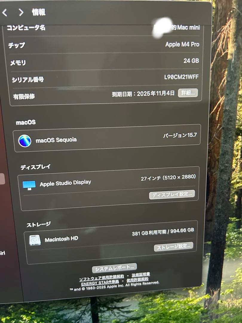 ミニPC Apple Mac mini M4 pro 1TB 24GB