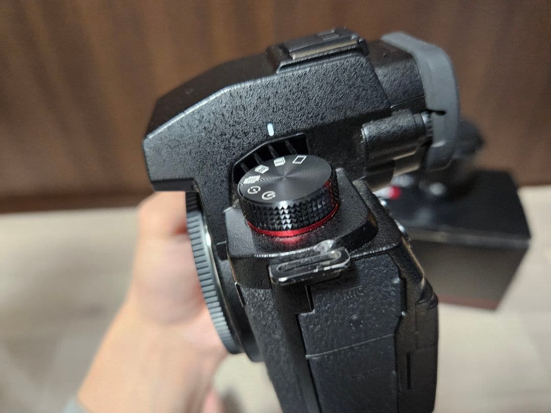 LUMIX DC-S5M2 (LUMIX s5Ⅱ)　50mmF1.8付き