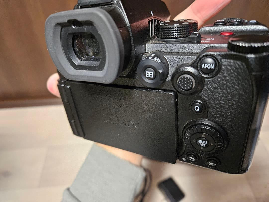 LUMIX DC-S5M2 (LUMIX s5Ⅱ)　50mmF1.8付き