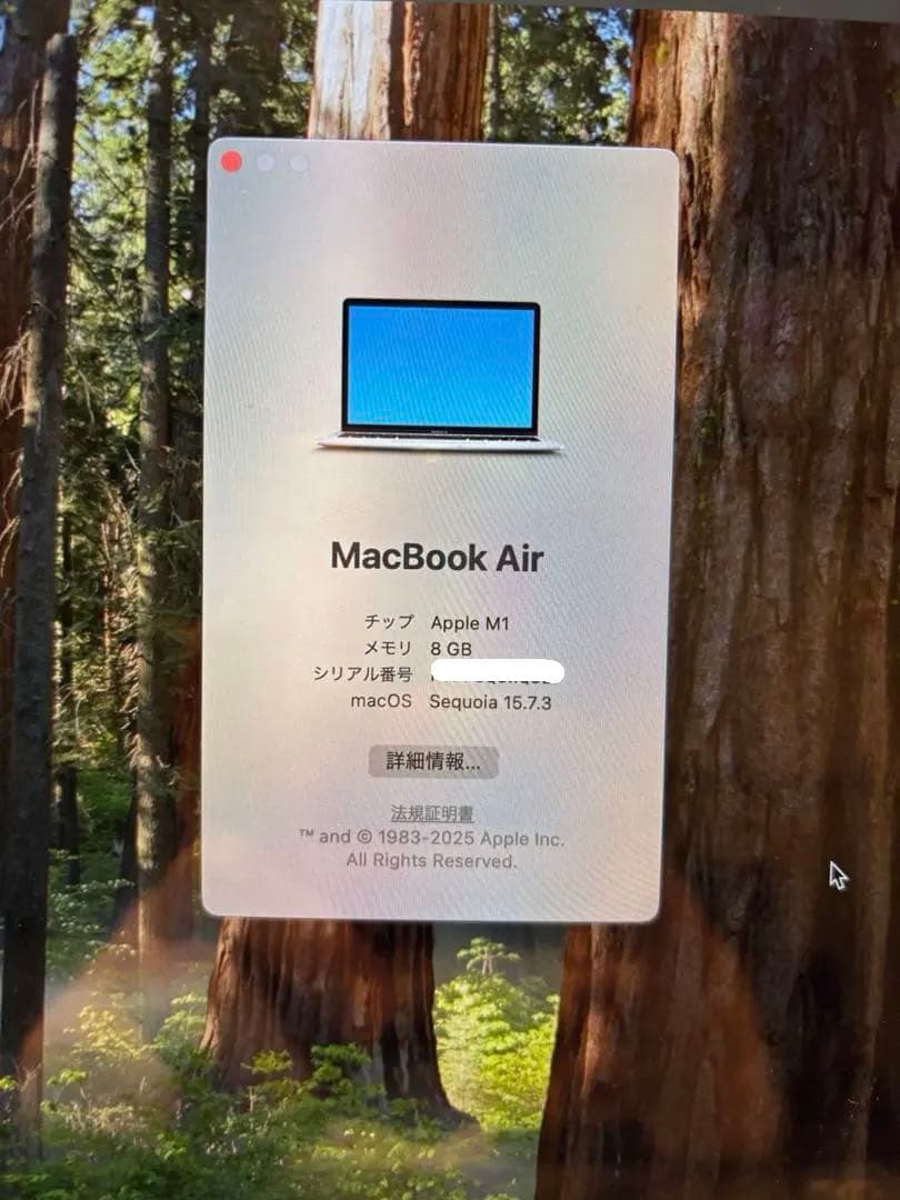 MacBook Air M1 2020年モデル 13インチ