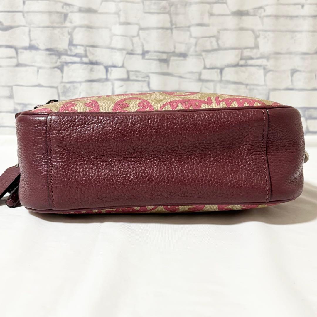 専用❗️COACH・レザー ショルダーバッグ斜め掛け Guang Yuコラボ限定品