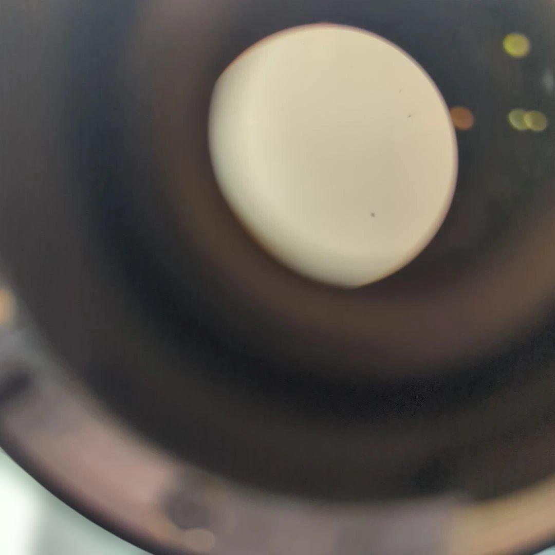 Carl Zeiss Distagon 2.8/25 ZF ジャンク　要内容確認