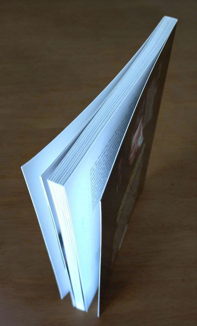 DIE ILLUSTRIERTE BIOGRAFIE　マッツ・ミケルセン