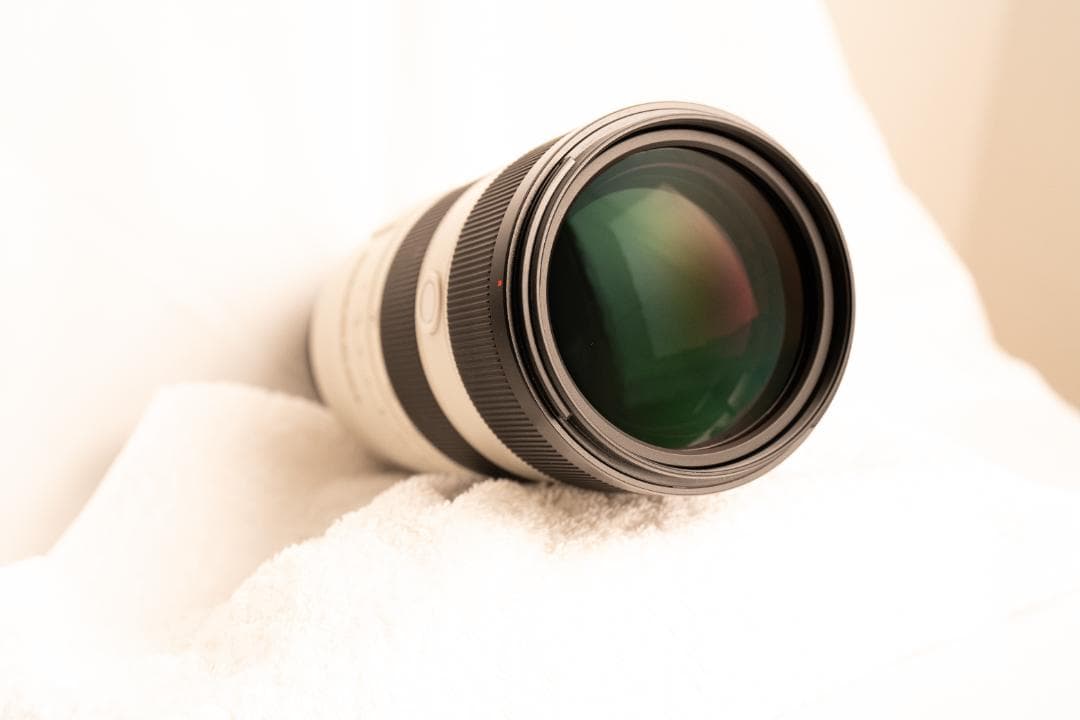 【美品】SEL70200GM2 + SEL20TC + フィルター2枚