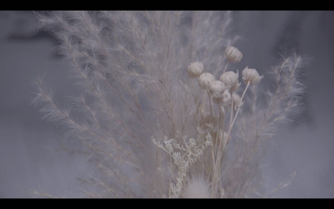 ISCO Gottingen ISCONAR 135mm f4 m42マウント