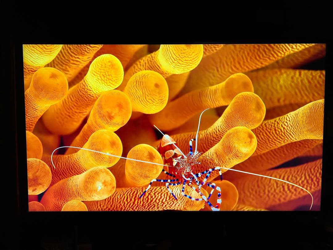 BENQ EW3280U 32インチ 4Kモニター　スピーカー不良