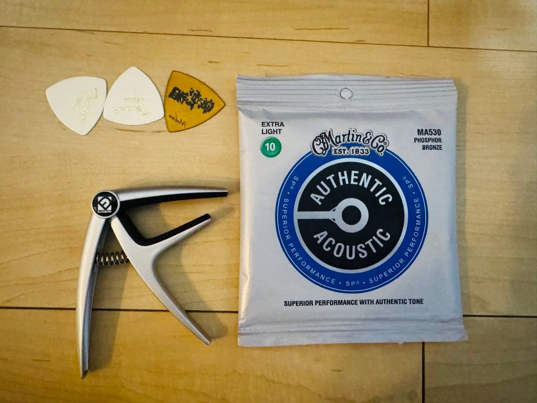 Morris MG302STS アコースティックギター