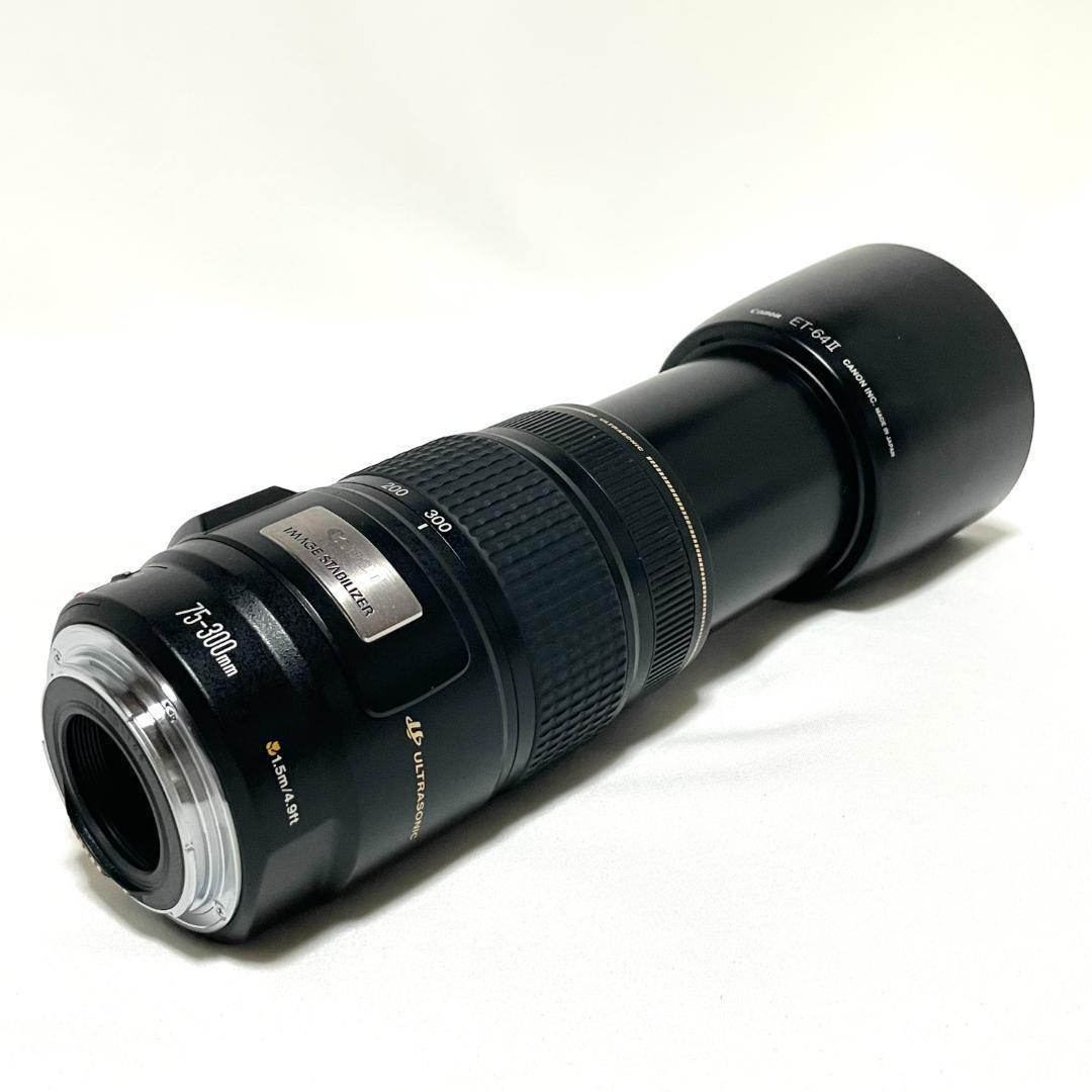 動く一瞬を捉える❣️ Canon EF 75-300mm IS USM 超望遠