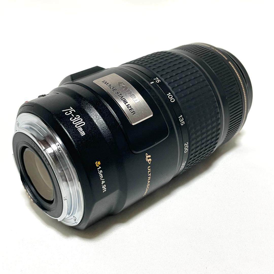 動く一瞬を捉える❣️ Canon EF 75-300mm IS USM 超望遠