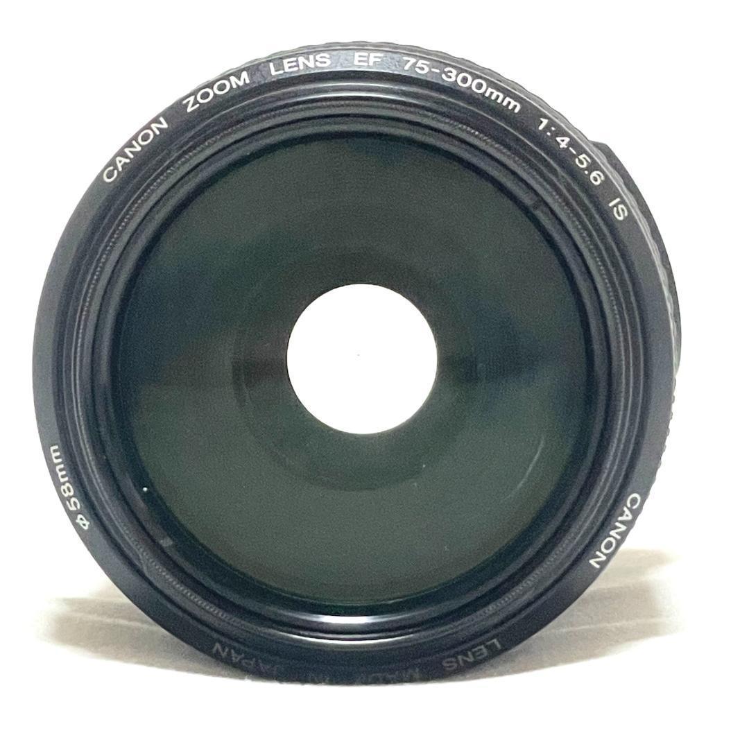 動く一瞬を捉える❣️ Canon EF 75-300mm IS USM 超望遠