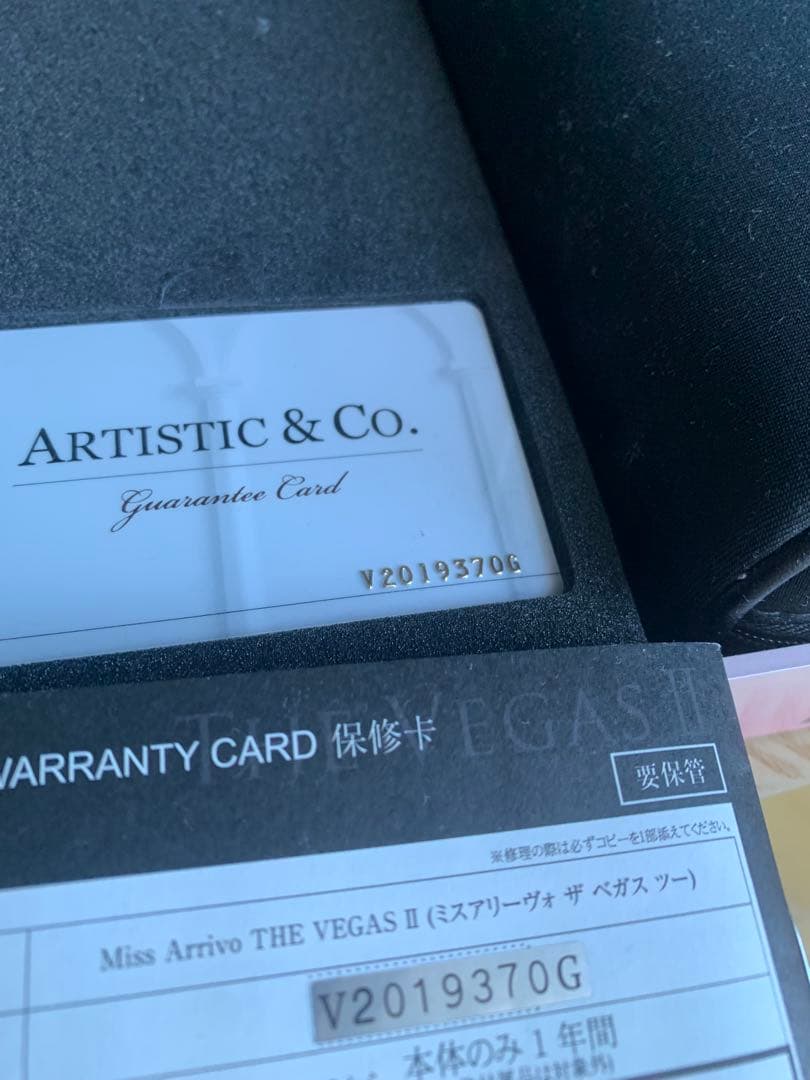 ARTISTIC & CO. THE VEGAS II 美顔器