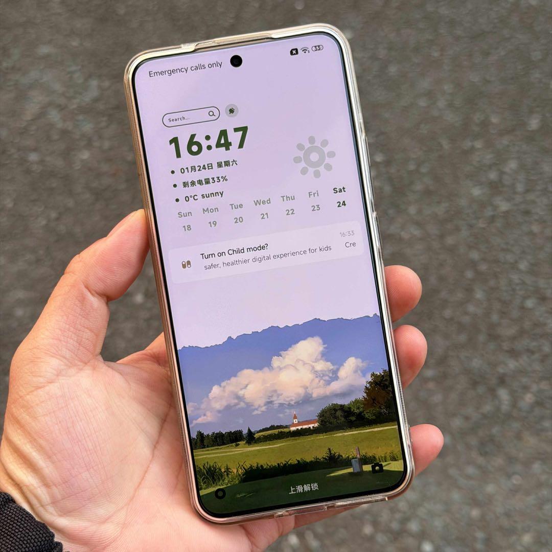 Xiaomi Mi 15 Pro 12/256GB 国内版 SIMフリーグレー