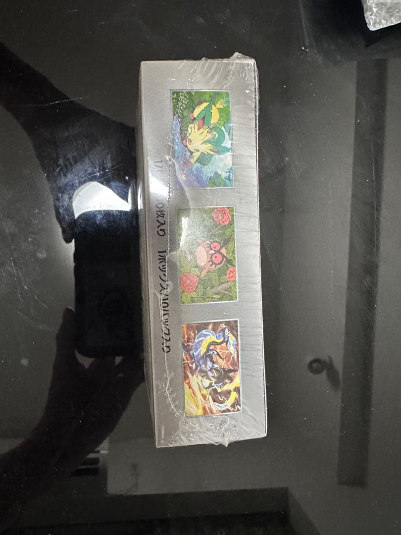 かんこうきゃくSR psa10 その他引退品