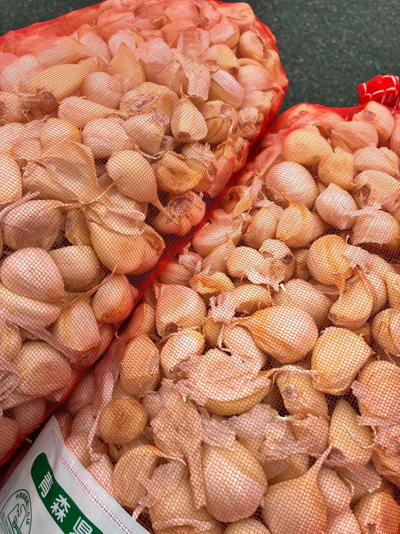 新物　青森県バラにんにく10Kg 2L.L 加工おすすめ