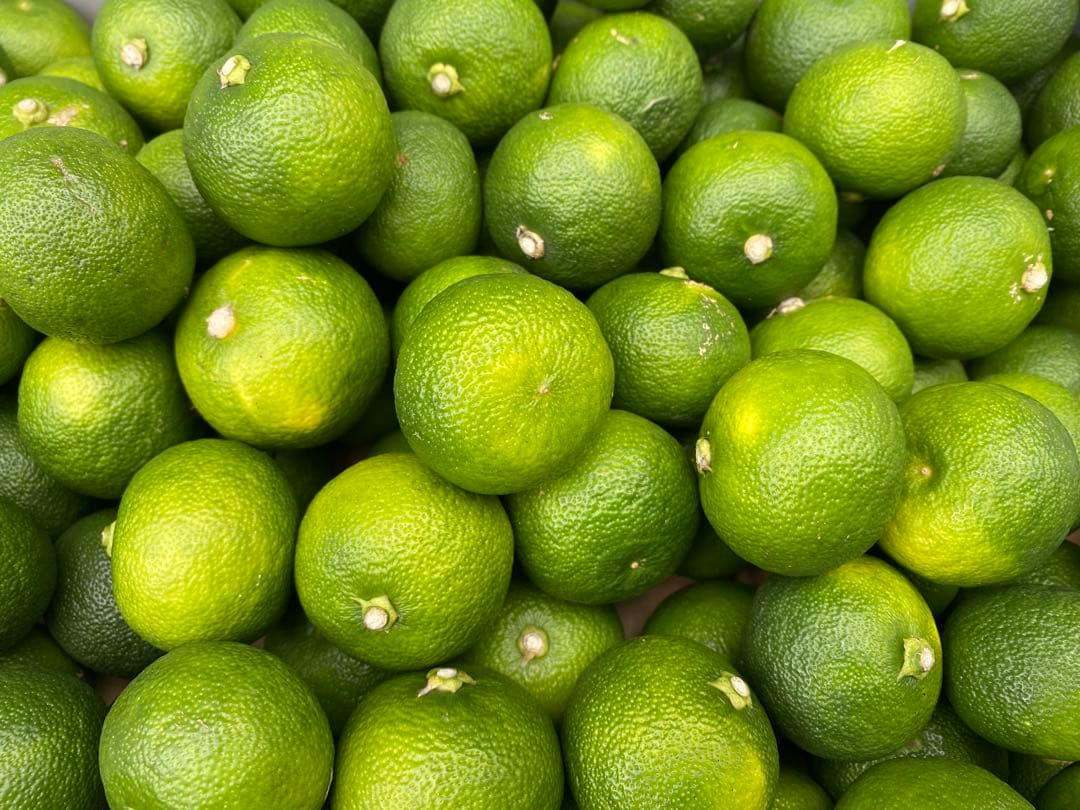 徳島県神山町産すだち《冷蔵貯蔵》7キロ　キズ・色ムラあり　黄緑色になります。