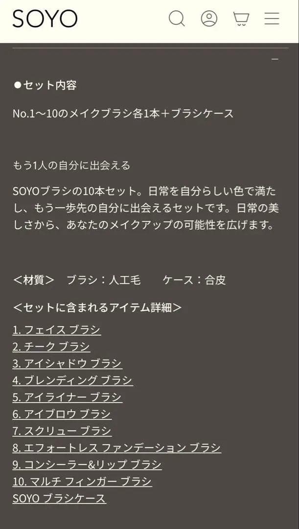 SOYOブラシ10本セット