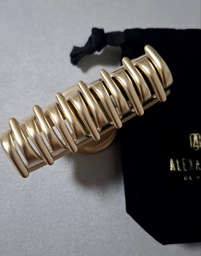【美品】アレクサンドルドゥパリ M ヘアクリップ　人気のゴールド 完売品
