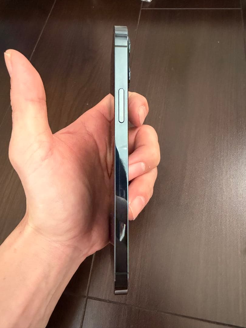 Apple iPhone 12 Pro 256GB本体ラビットさん専用