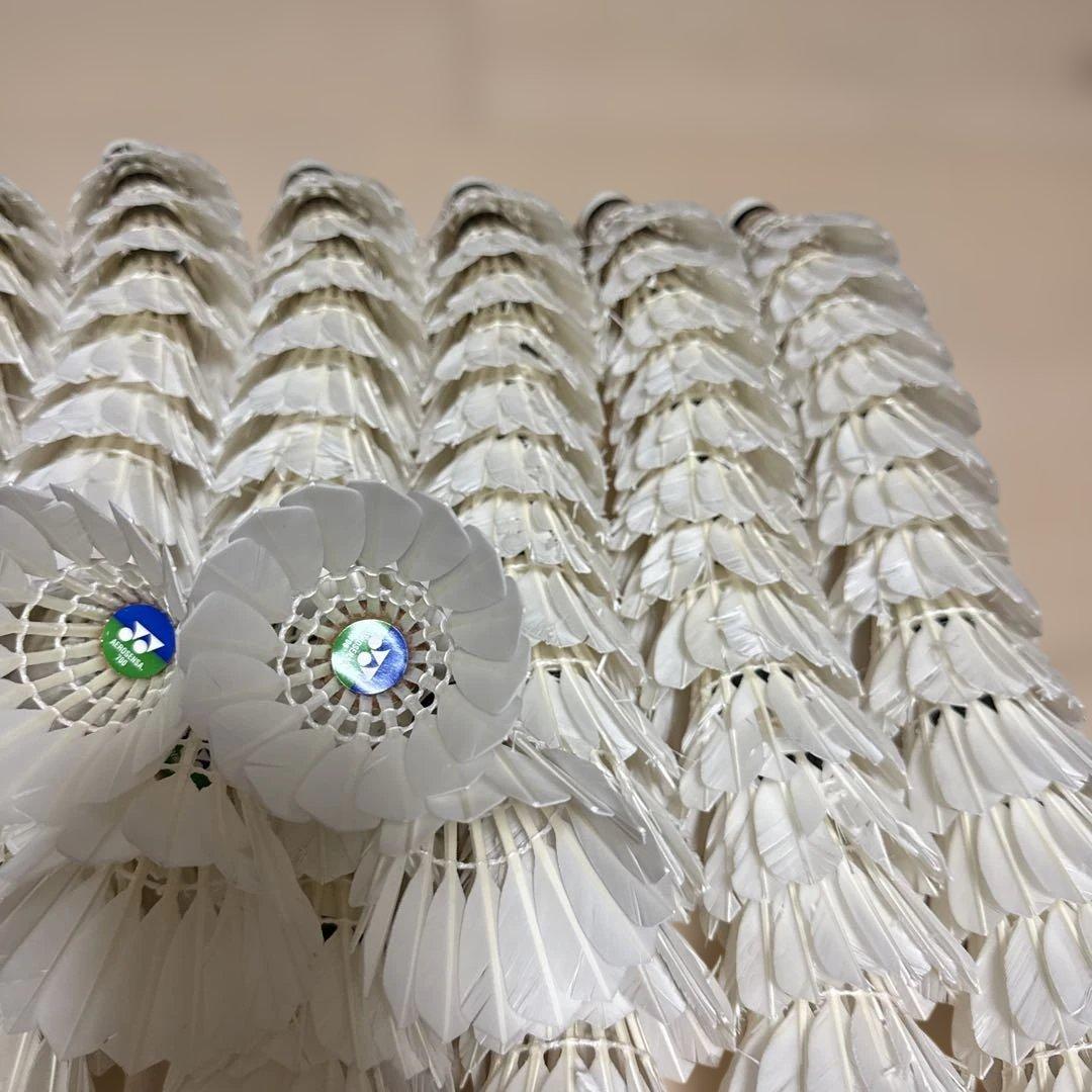 YONEX NEWOFFICIAL 120球