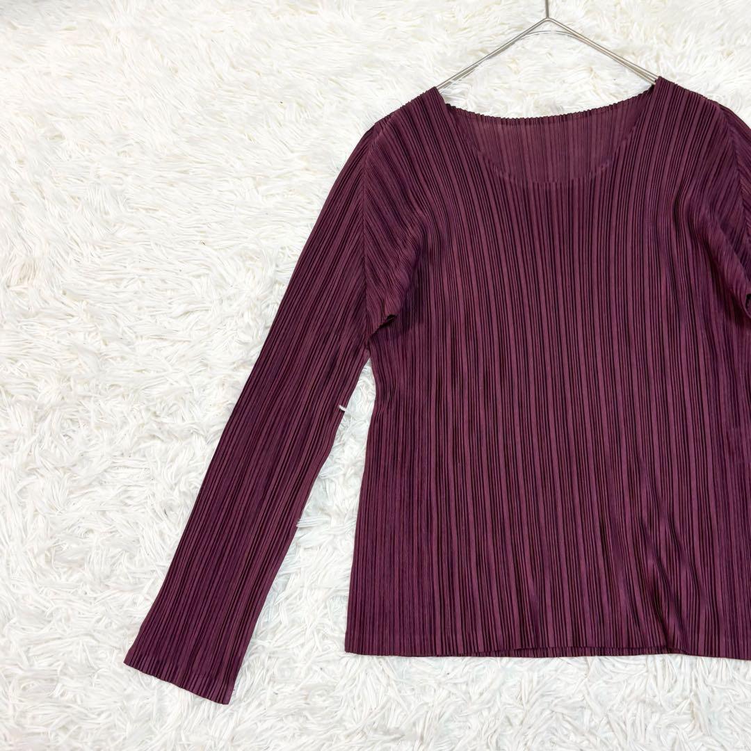 ISSEY MIYAKE PLEATS PLEASE トップス　長袖　プリーツ