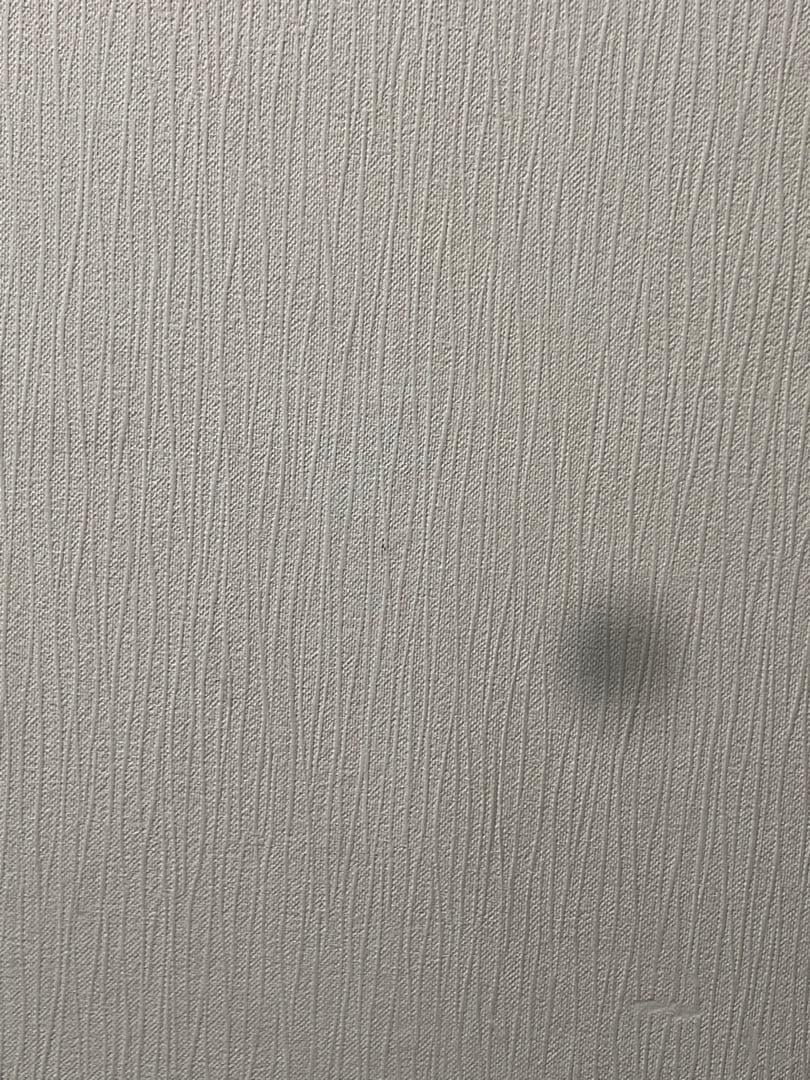 iPhone12 ブルー 128GB ※ジャンク品（カメラのみ機能不良あり）