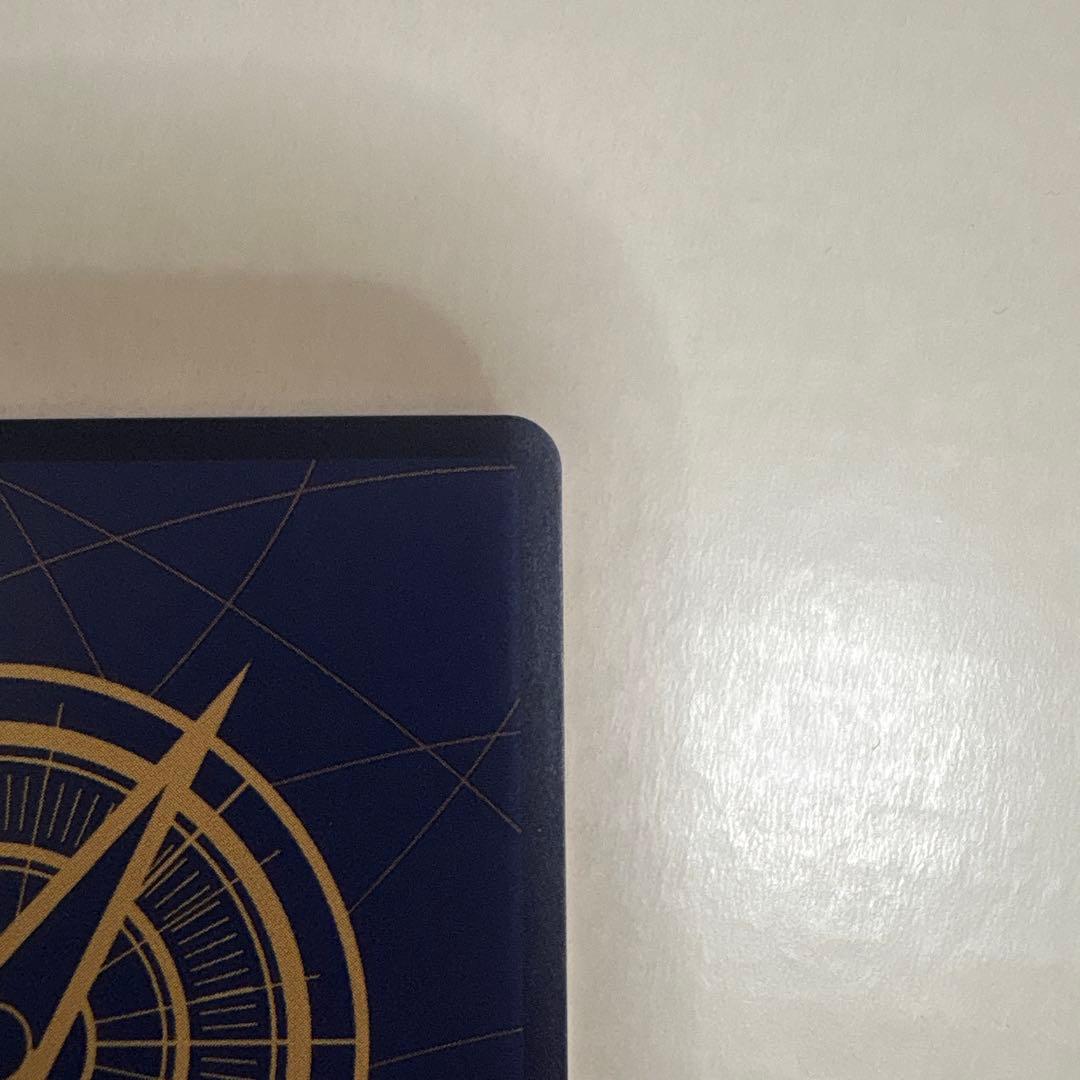 ポートガス・D・エース レッドコミパラ SEC