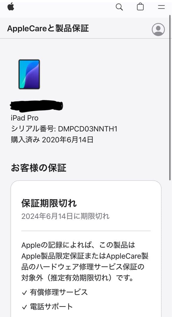 iPad Pro 第2世代 11インチ256GB 【即日発送】【大幅値下げ】