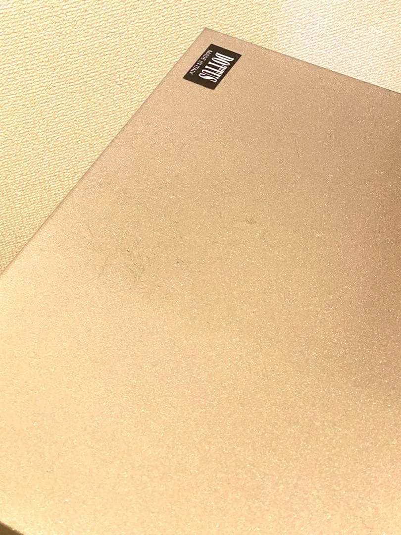 DOTTUS/ドッタス●ダストボックス●シルバー●イタリア製