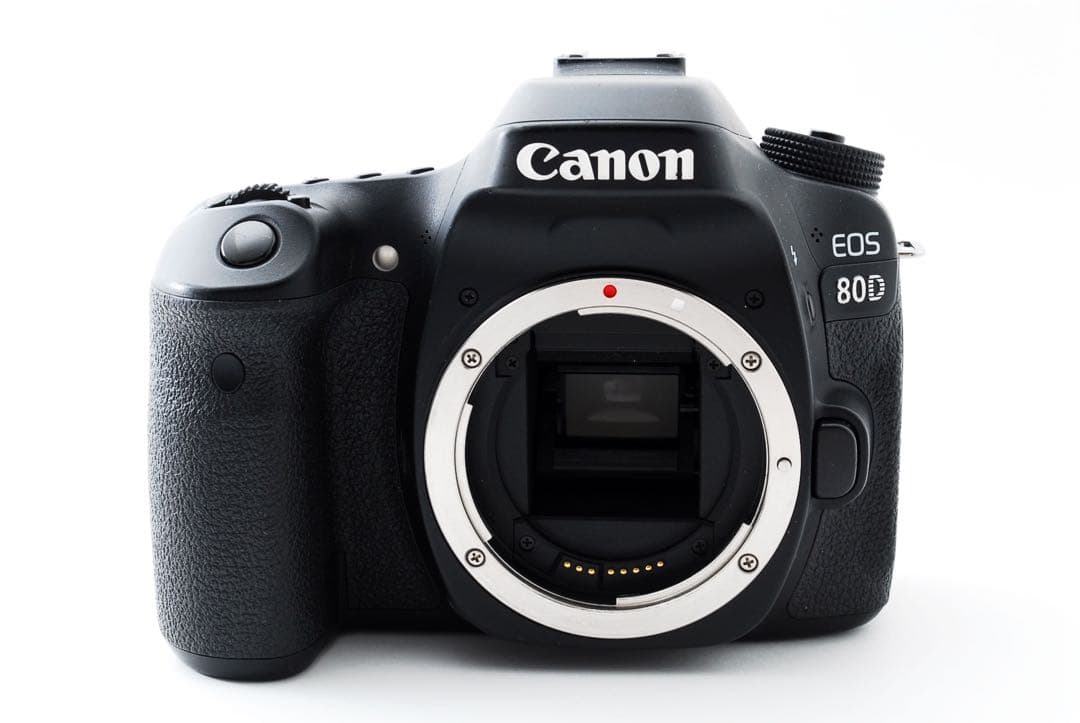 Canon EOS 80D標準&望遠レンズセットEF28-80/EF80-200