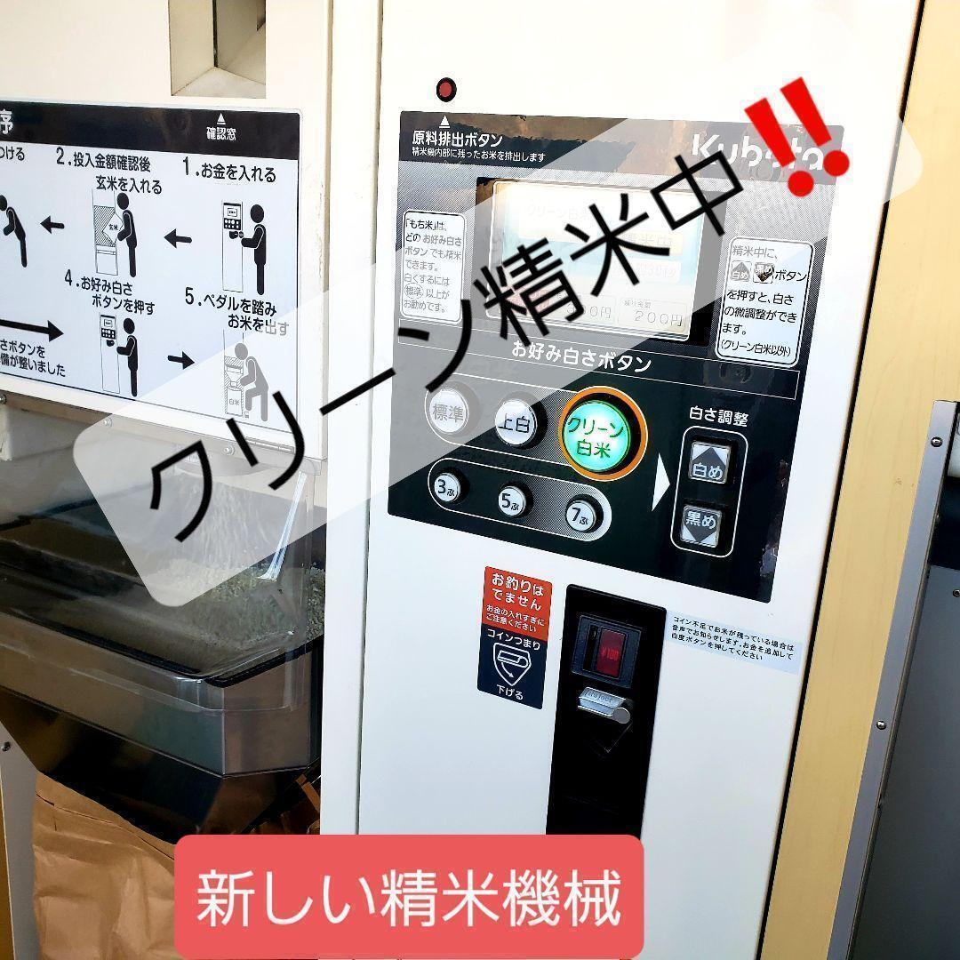 令和7年産 TAKEの棚田米 新米 美味しい米10㎏